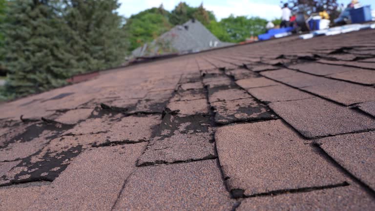 Best Asphalt Shingle Roofing  in Bedminster, NJ